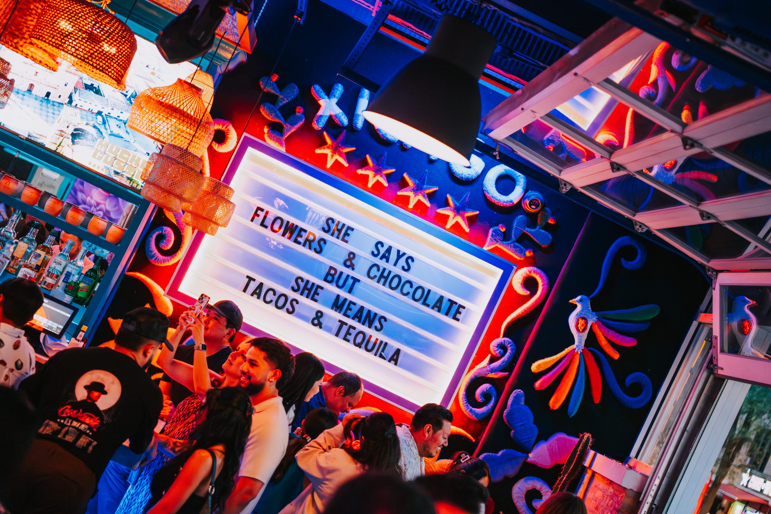 mucho-gusto-gallery-DSC02298